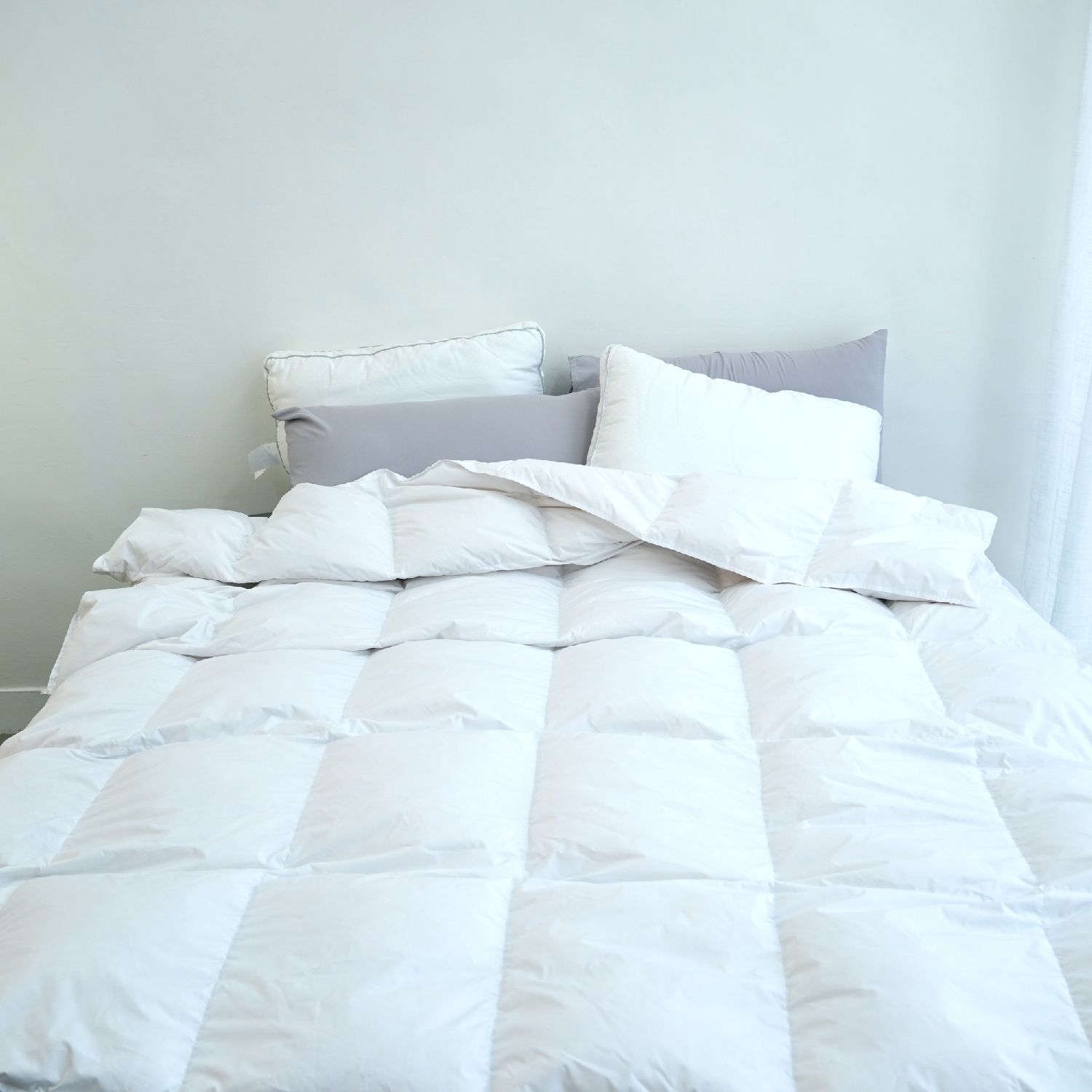 限時買1送1！【Arnold Palmer雨傘牌 】羽絨被/ 防水保潔墊