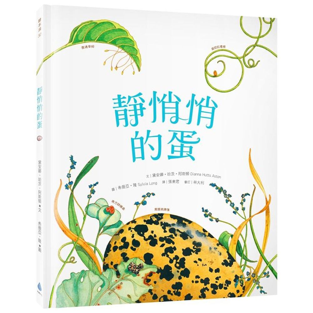 靜悄悄的蛋