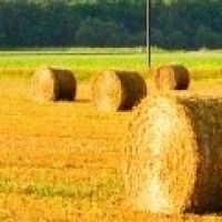 用戶頭像
