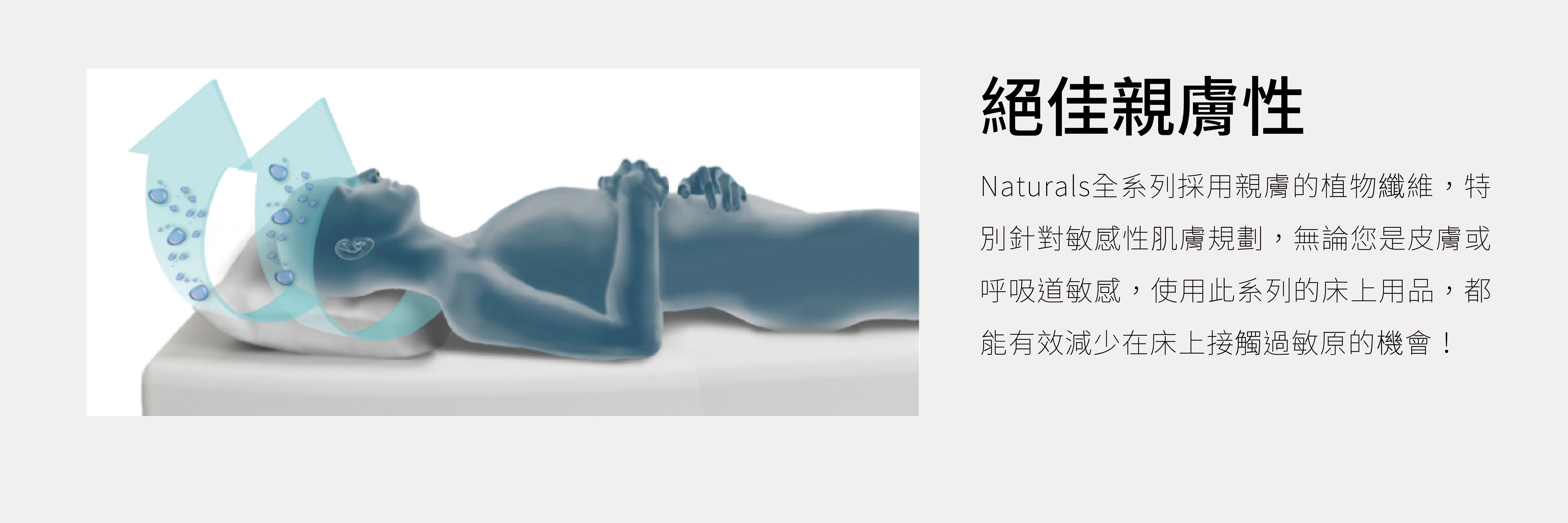 美國寢之堡 - Cotton柔棉床包式保潔墊-雙人-152*190*45 cm(5*6.2尺)