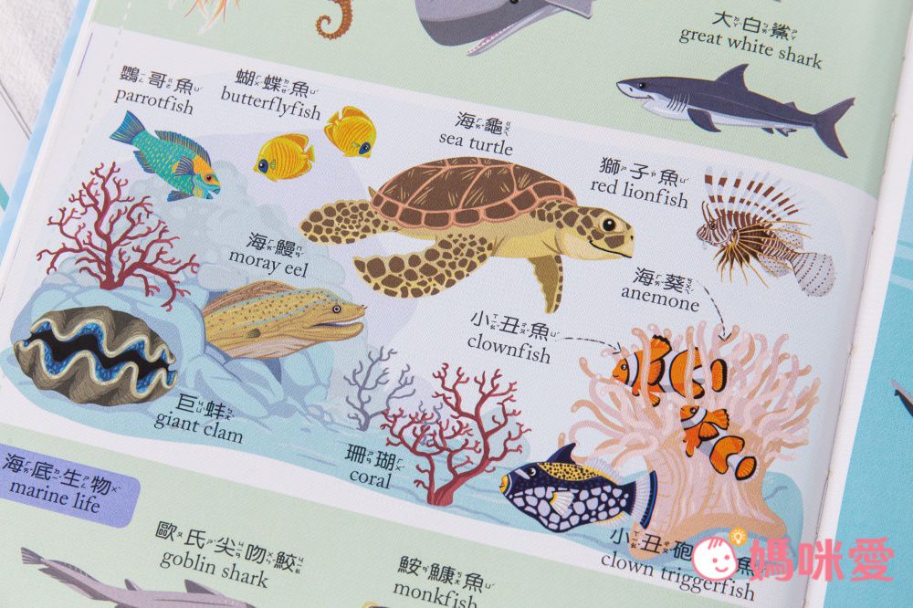 符合教育部國小規定【世一文化點讀筆系列】中英學習靠這套！