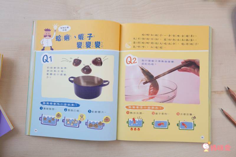 康軒文教事業 - Why博士套書