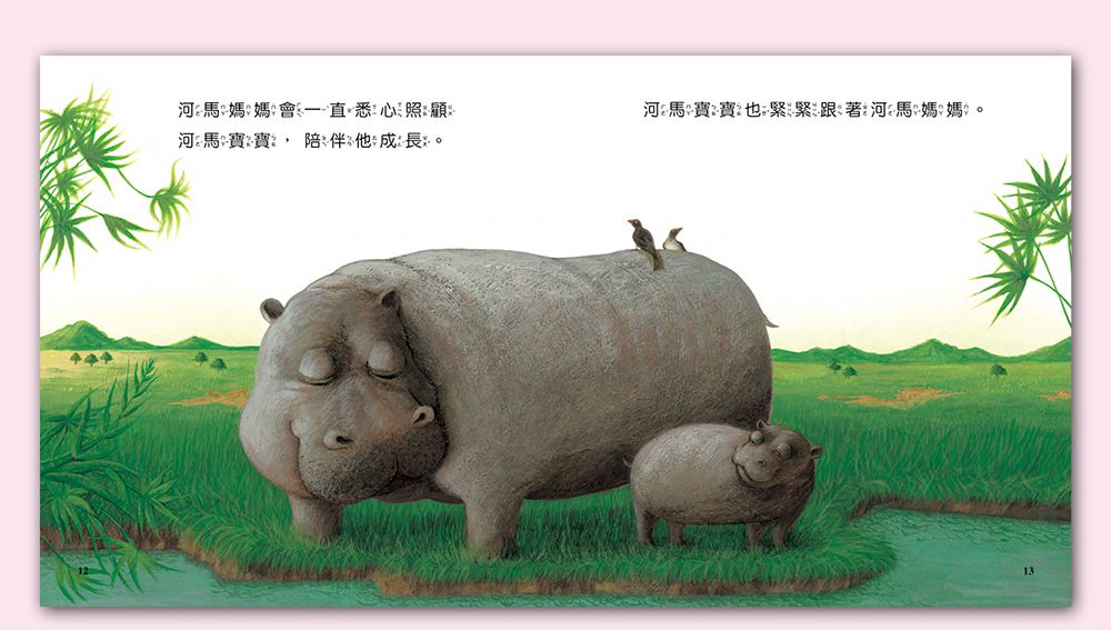 小牛頓科學教育有限公司 - 我家自然小百科-平裝-全彩 (17.3cm x 18.5cm)-60冊/2-6歲