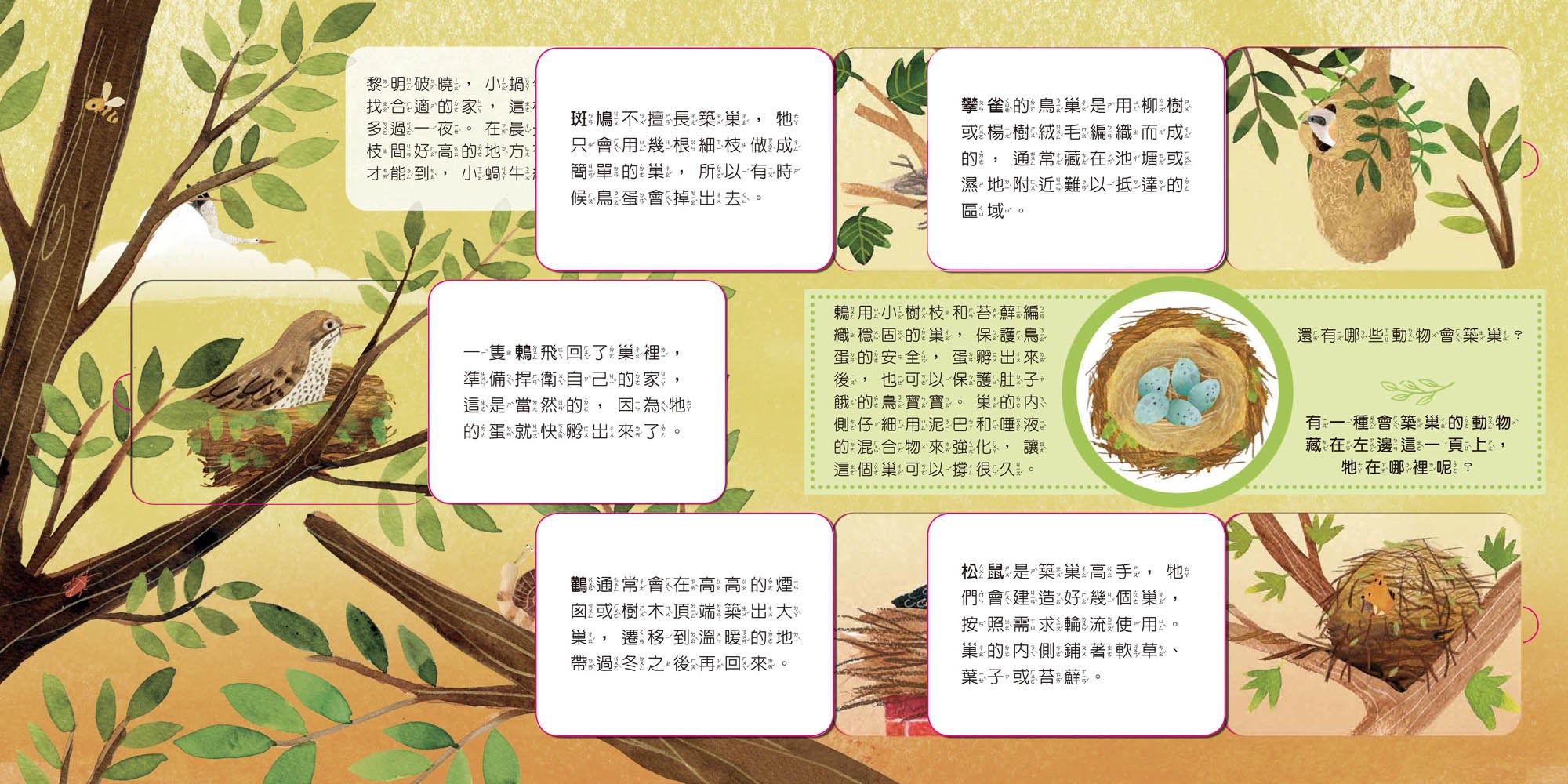 動物小知識翻翻書：這是誰的家？