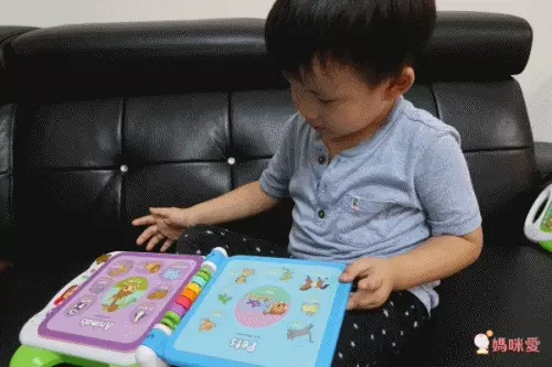 LeapFrog美國跳跳蛙 - 100單字互動認知圖鑑(粉)