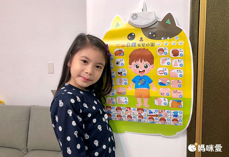 双美生活文創 - 【合購組】交通工具有聲掛圖＋我的第一本觸控點讀有聲書(ABC＋學前認知)