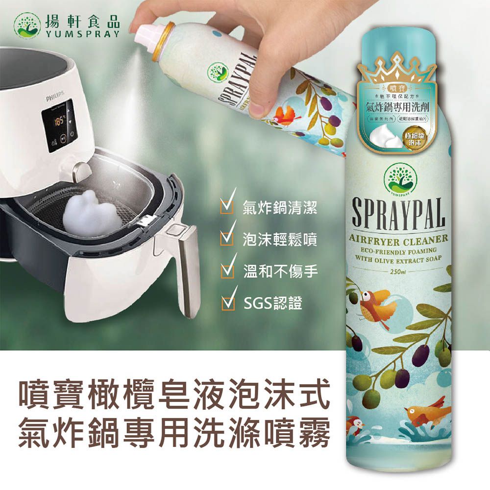 氣炸鍋專用清潔噴霧-250ML