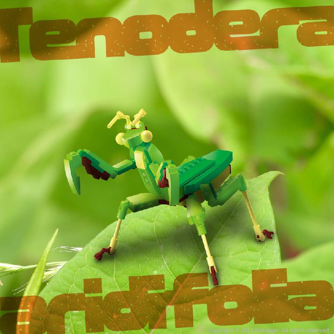 日本 Silverback - 可動擬真積木-枯葉大刀螳