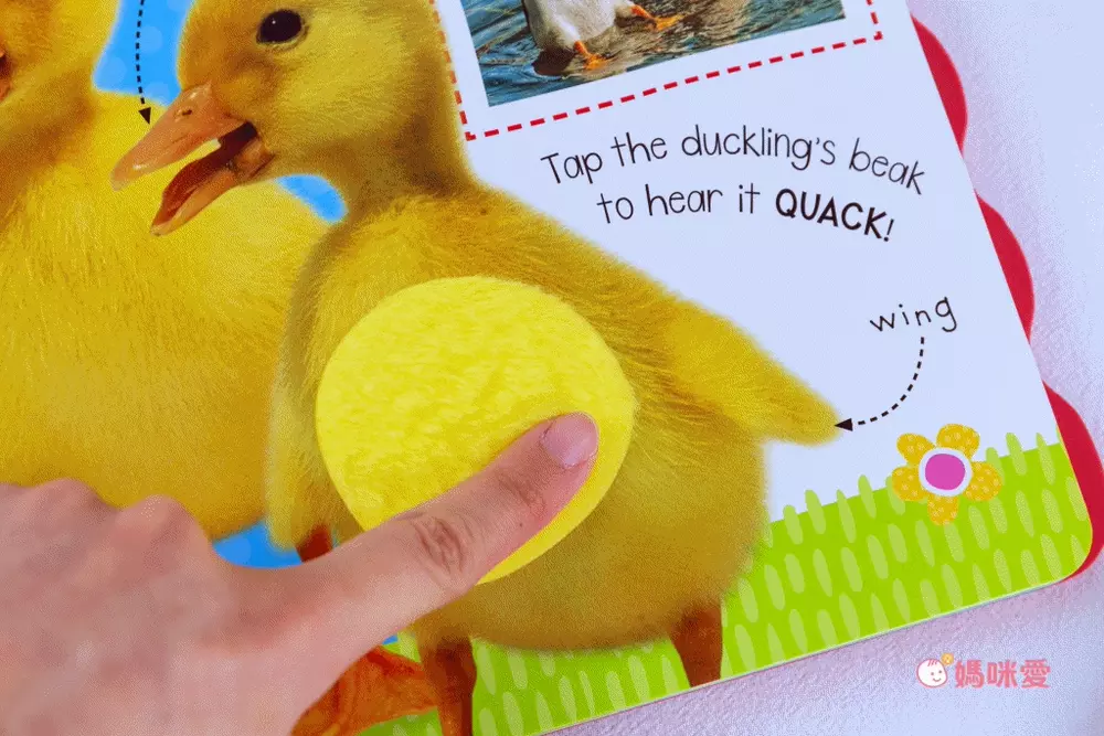 日本設計研發《KIDsREAD 四語圖解字典 》終於補貨！