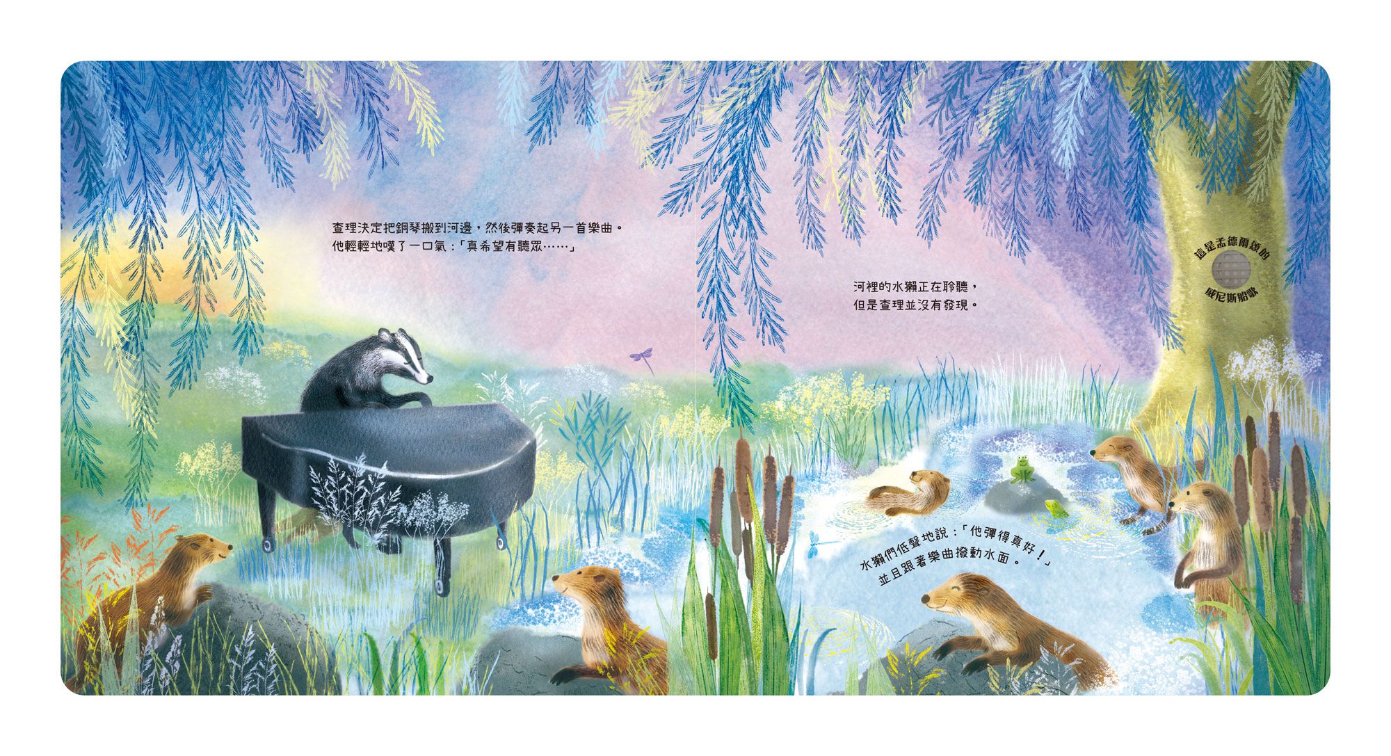 森林裡的音樂大師-溫馨的獨奏會