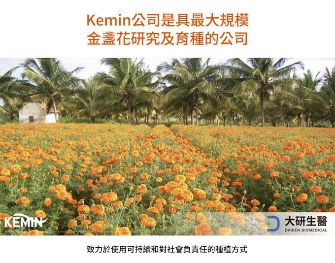 大研生醫 - 視易適葉黃素-(30粒/盒，共五盒)