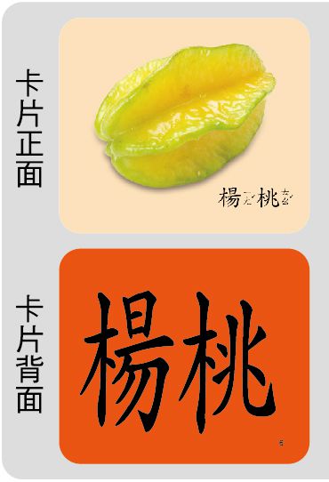 創意手提識字卡：水果(98新版)