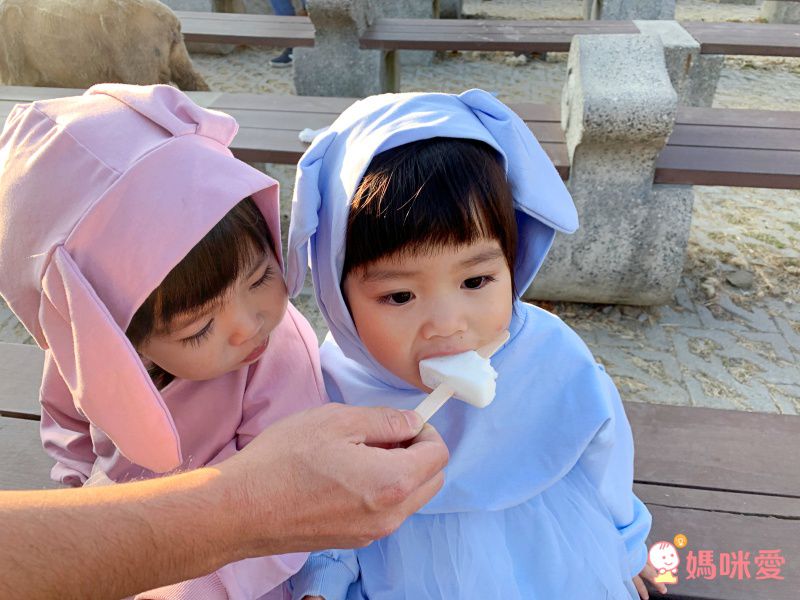 百穿不膩出門首選！超萌兔耳帽T網紗洋裝
