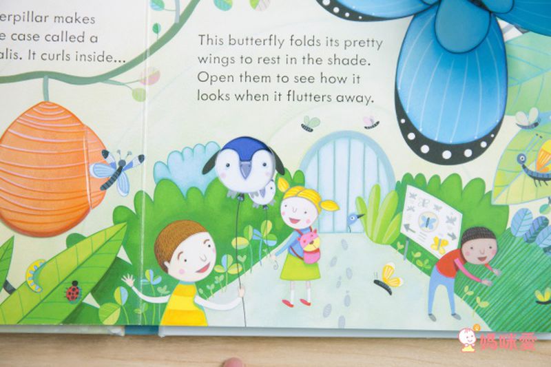 下殺42折！六本精裝只要 $999 ✦ 英國 Usborne ✦ Peep Inside 系列