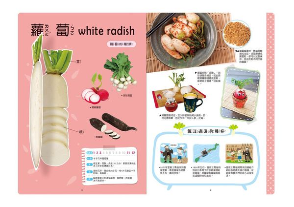 世一文化 - 地底蔬菜立體書