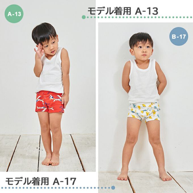 日本 Ho-ho kids - [人氣No.1]純棉透氣男孩內褲(3入)-恐龍們-藍白灰