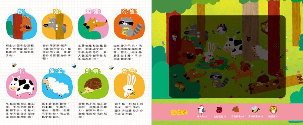 探照燈大發現：探索動物