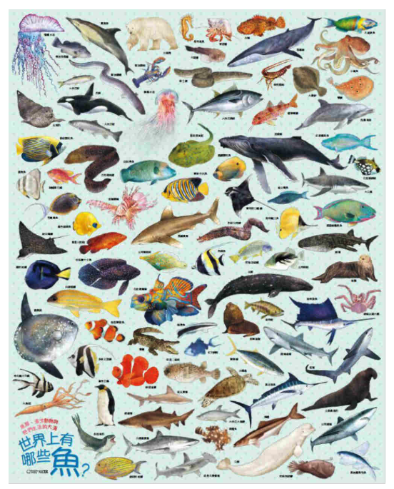 世界上有哪些魚？：魚類、海洋動物與牠們生活的大海 (精裝 / 164頁 /全彩印刷)