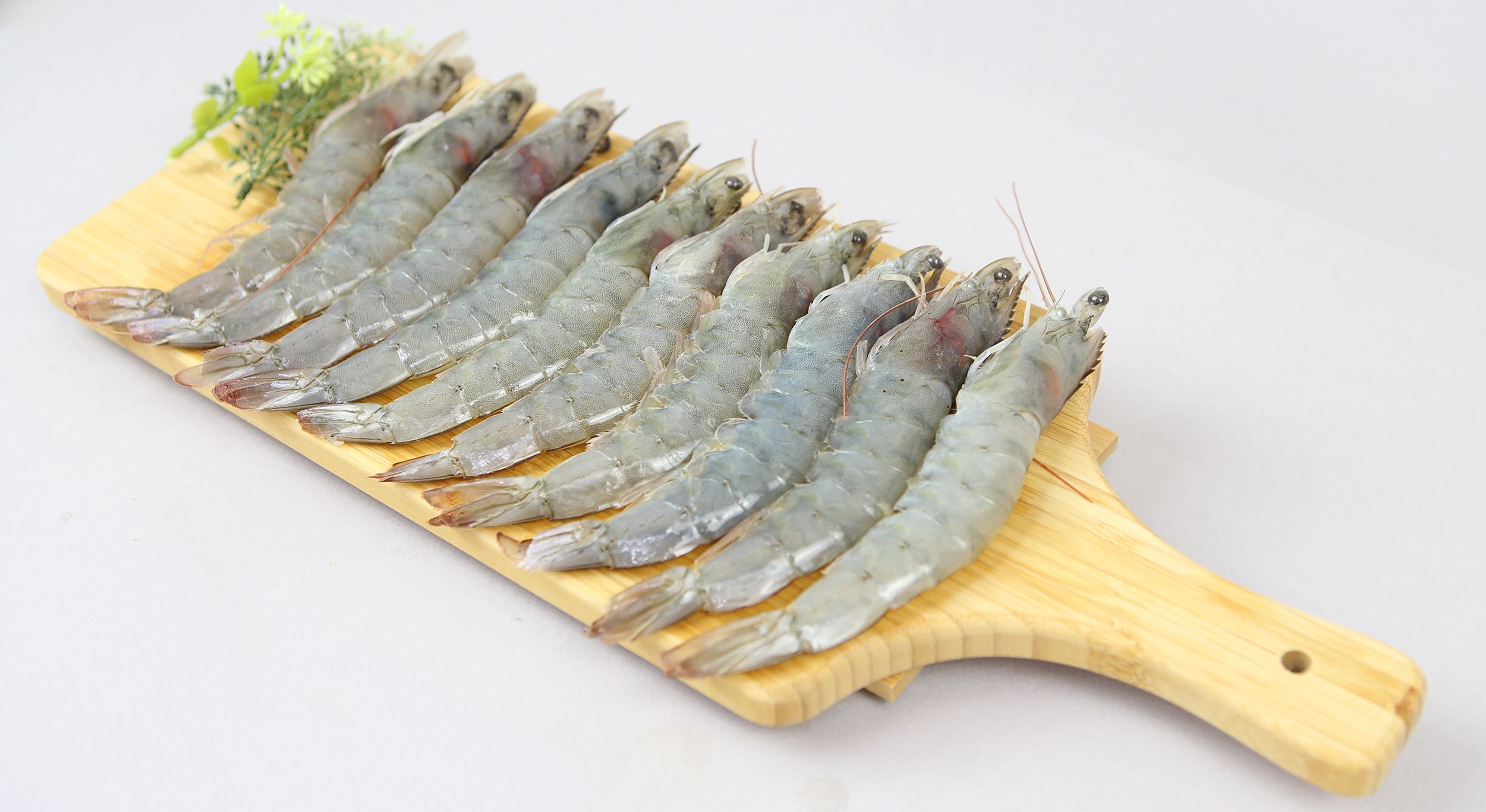 Camaron卡馬龍 - 低脂魚蝦超值組-白晶蝦(大)約15~20隻500g*1+去刺草本虱目魚肚150g*2