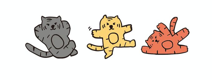 韓國 Kokacharm - 兒童中長襪/襪子三入組-刺繡老虎-紫咖X淺橘X粉橘