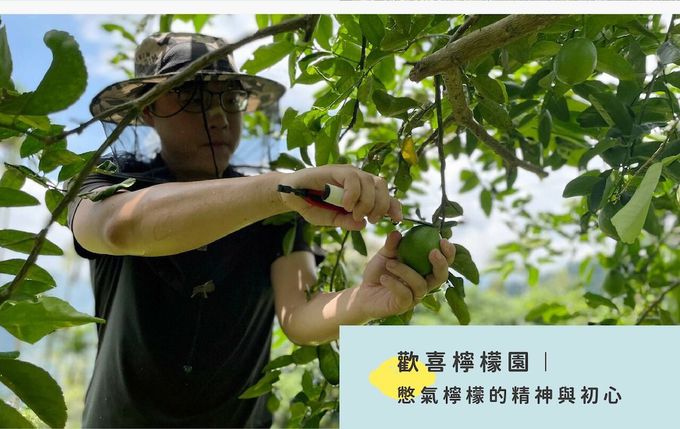 BECKY LEMON憋氣檸檬 - 清涼一夏組合-原味檸檬汁(600ml)*8+冬瓜檸檬飲(600ml)*7-加贈_急凍鮮榨萊姆汁(120ml)*4