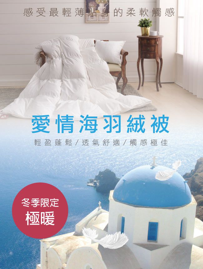 鴻宇 HongYew - 100%天然水鳥羽毛 愛情海羽絨被 冬被 美國棉-雙人6x7