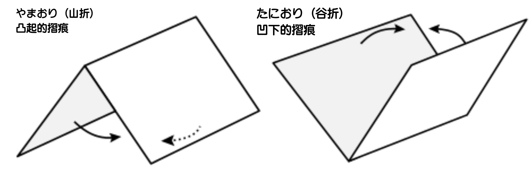 精緻寫實立體摺紙圖鑑-食物館-10種類