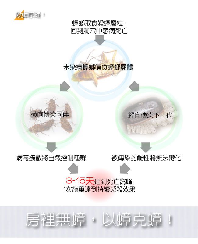 房裡無蟑 - 房裡無蟑 殺蟑魔粒 蟑螂藥 15克 (1入)