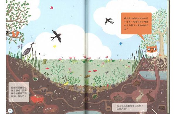 咦？神奇透視書！-精裝