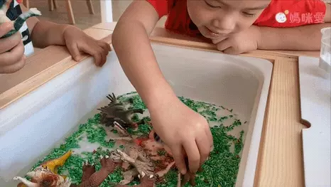 香港4M創意玩具 - 科學大驚奇-中文版(附影片)