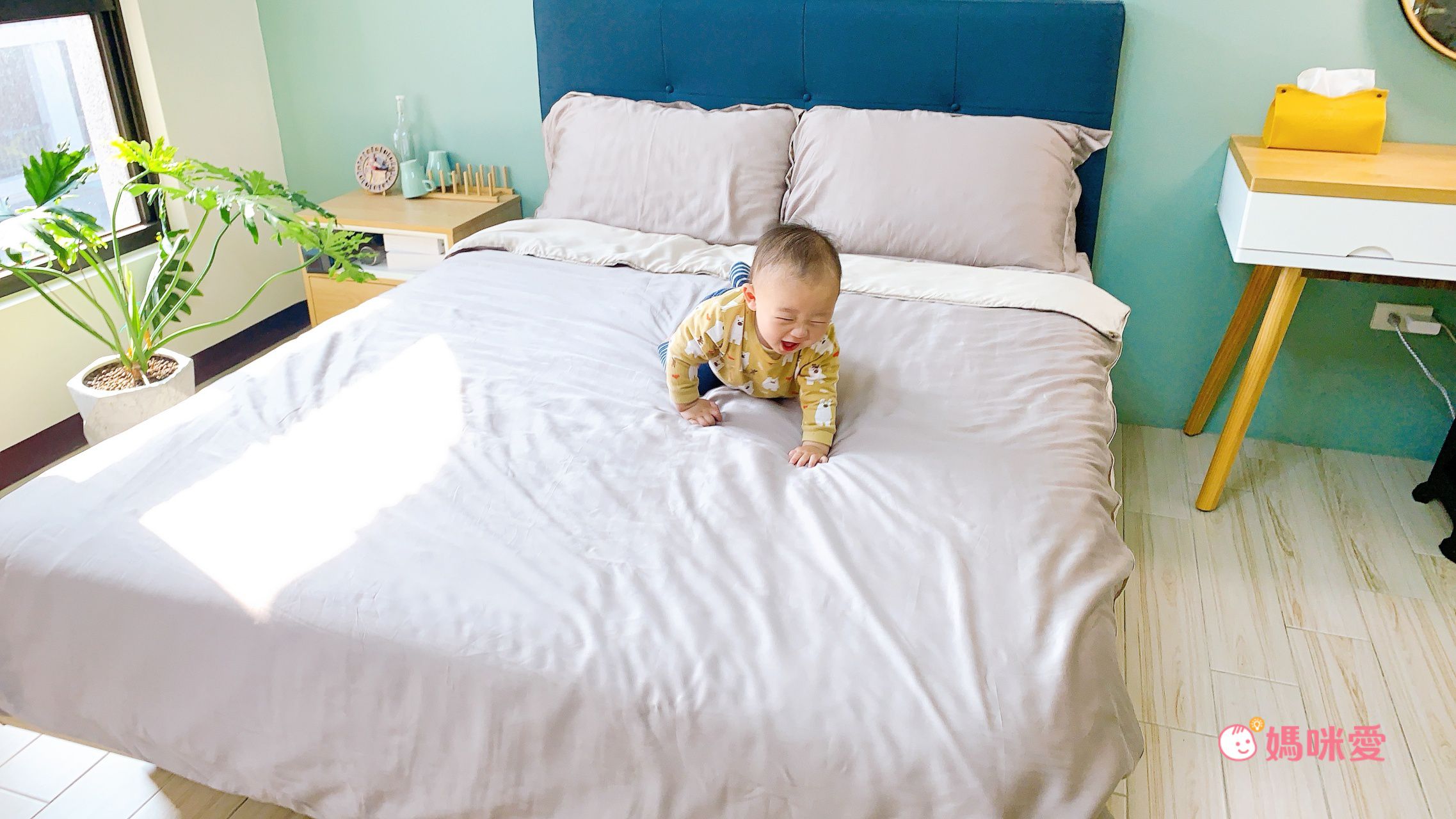 台灣製！ 100% 萊賽爾60支天絲床包組 【鴻宇 HongYew】