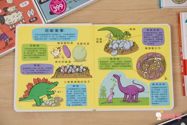 翻！身體-圖解百科翻翻書