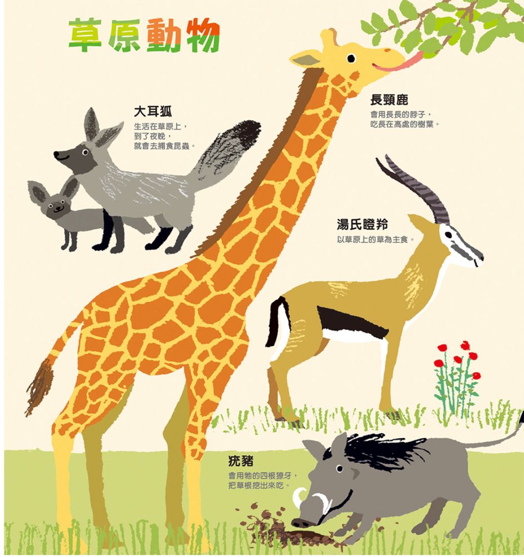 我的第一本圖片認知書：動物1