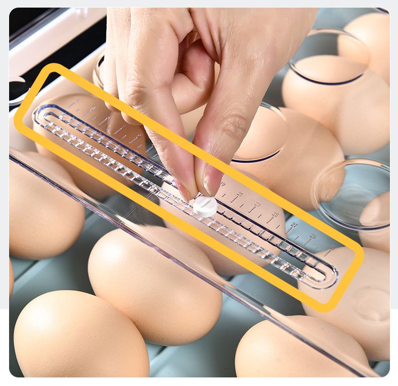 滾蛋式雞蛋收納盒-灰色 (33x23.5x7.5cm)