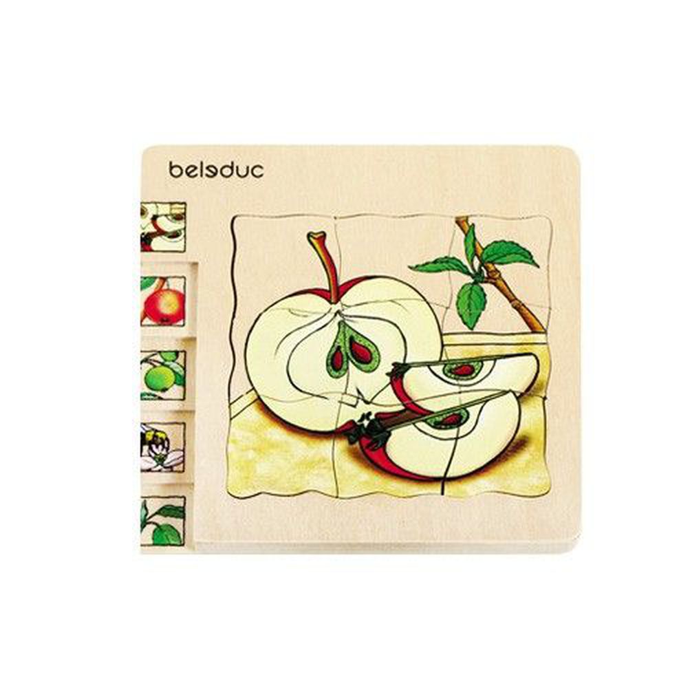 Beleduc - 多層木拼圖-蘋果