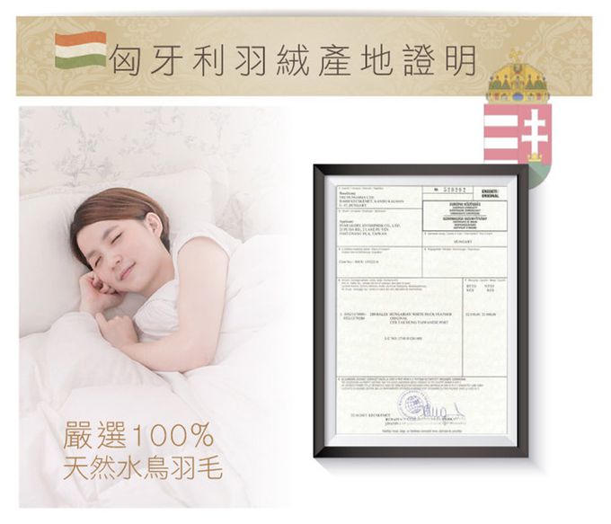 鴻宇 HongYew - 100%天然水鳥羽毛 愛情海羽絨被 冬被 美國棉-雙人6x7