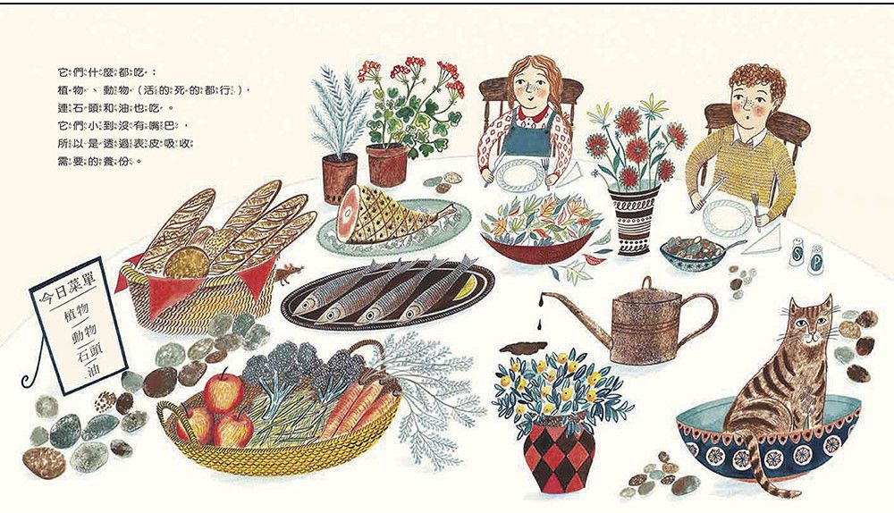 微生物：看不見的魔術師