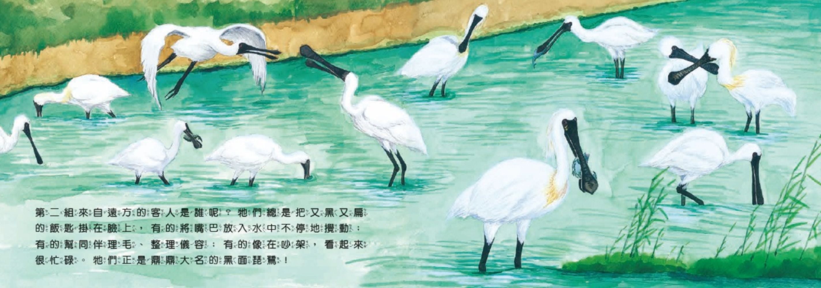 歡迎光臨溼地鳥餐廳