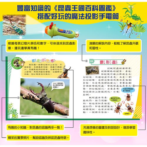 忍者兔魔法投影手電筒:昆蟲王國百科圖鑑