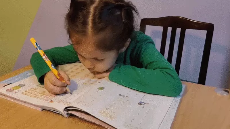 保護眼睛不駝背！【寫字坐姿調整器】從日常開始養成良好坐姿