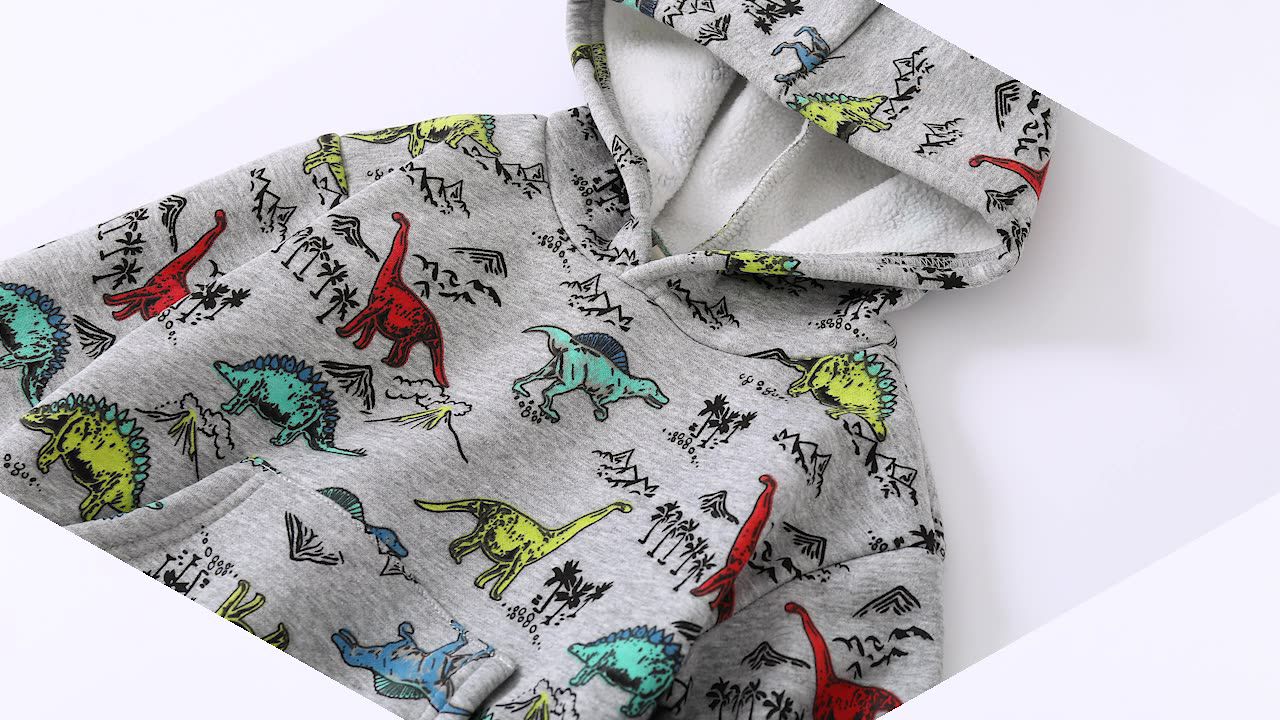 WELLKIDS - 加絨印花連帽長袖上衣/帽T-滿滿繽紛恐龍-灰色