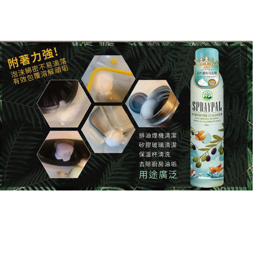 氣炸鍋專用清潔噴霧-250ML