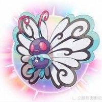 用戶頭像