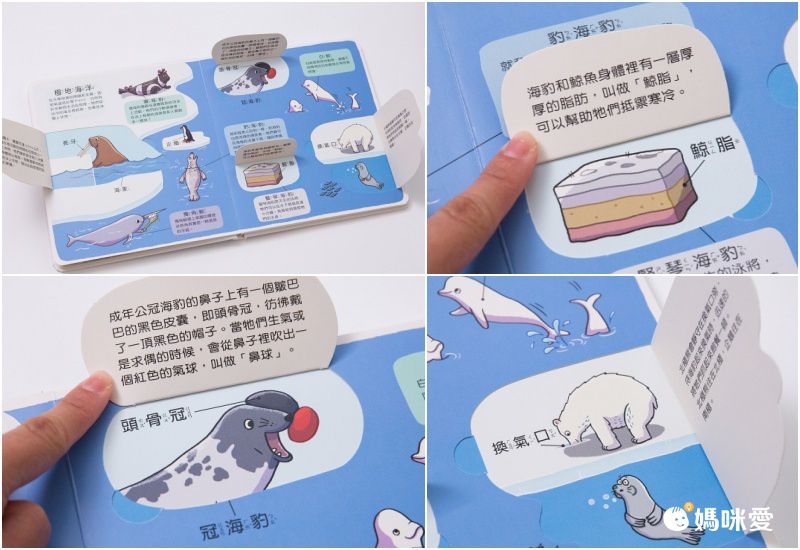 翻！身體-圖解百科翻翻書