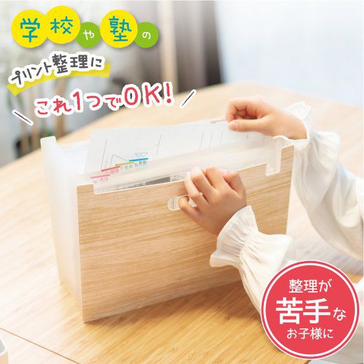 日本文具 SONIC - 多功能學習用分類整理盒 (33x23.5x2.4cm)