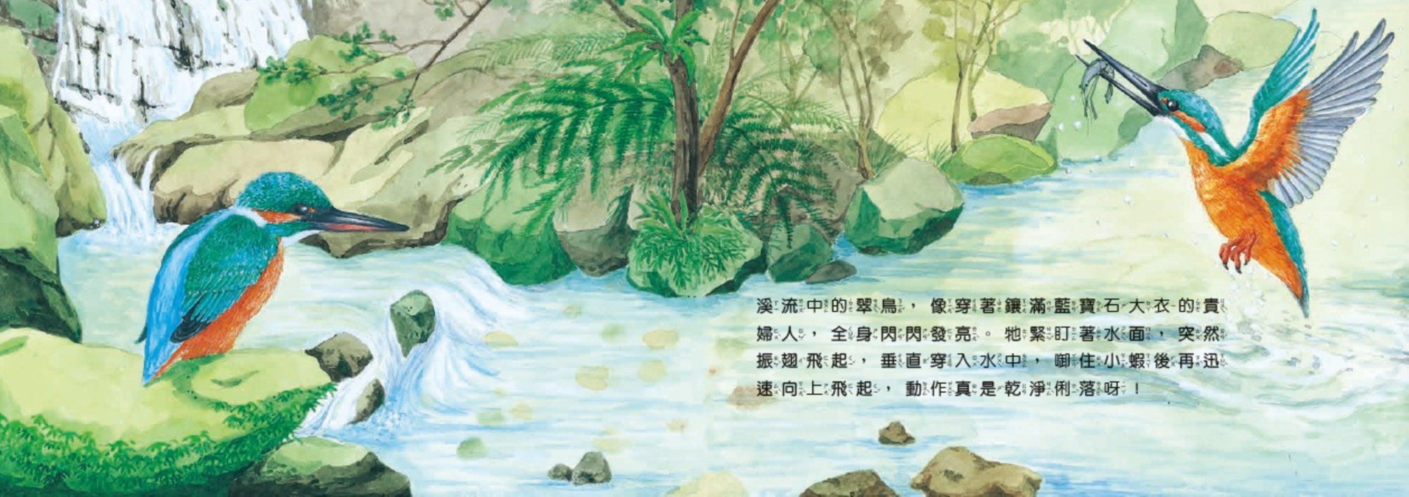 歡迎光臨溼地鳥餐廳