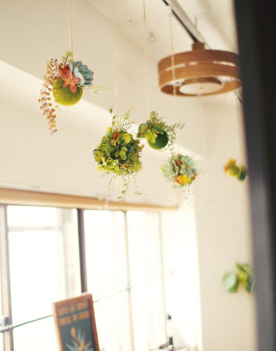 日本 KISHIMA - CT觸媒 消臭仿真多肉掛飾/盆栽球-KH-61199-黃 (L(16.5x16.5x72.5cm))