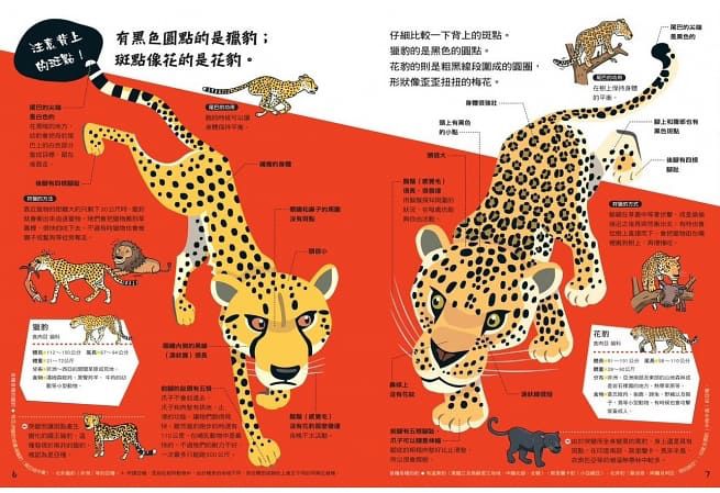 哪個是哪個？動物比較圖鑑（新版）