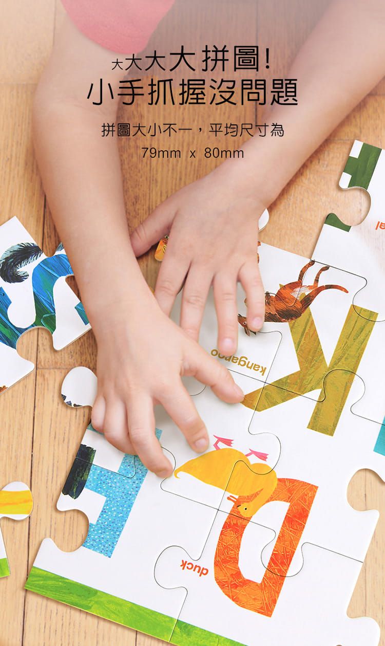 暢銷繪本聯名！好餓的毛毛蟲 x MIDEER 可水洗彩色筆、蠟筆