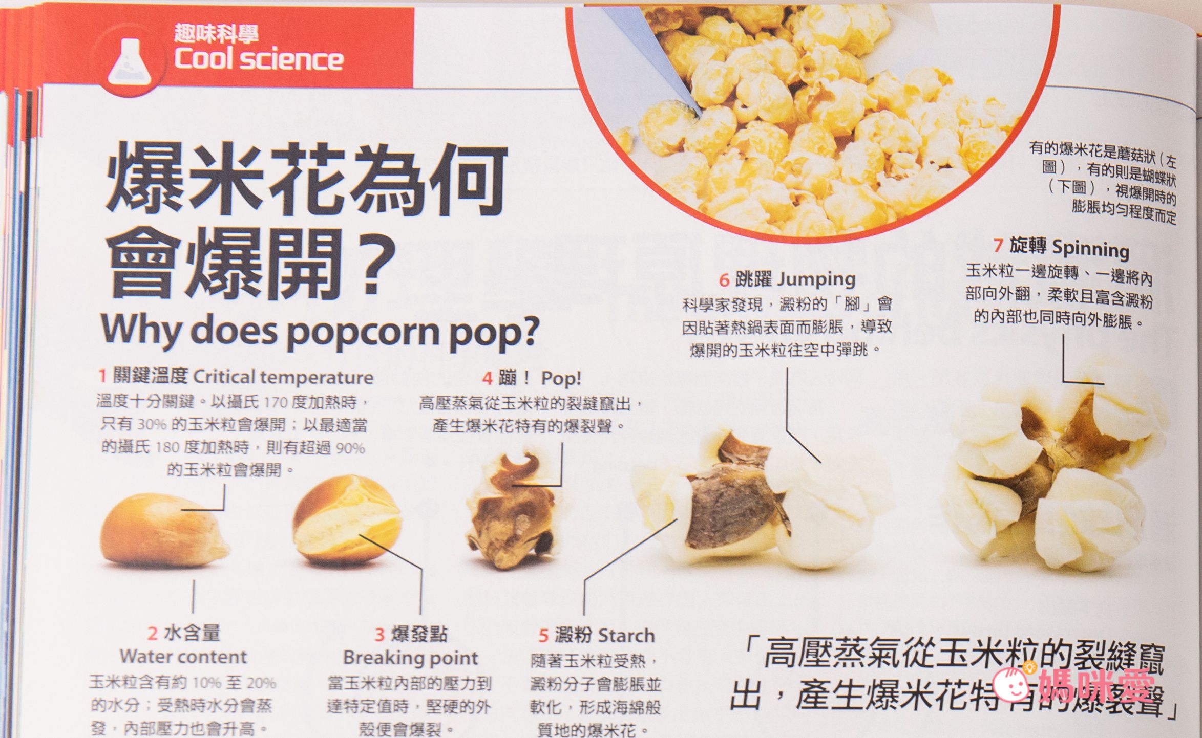 滿足全家大小的求知慾【Live ABC】How It Works知識大圖解